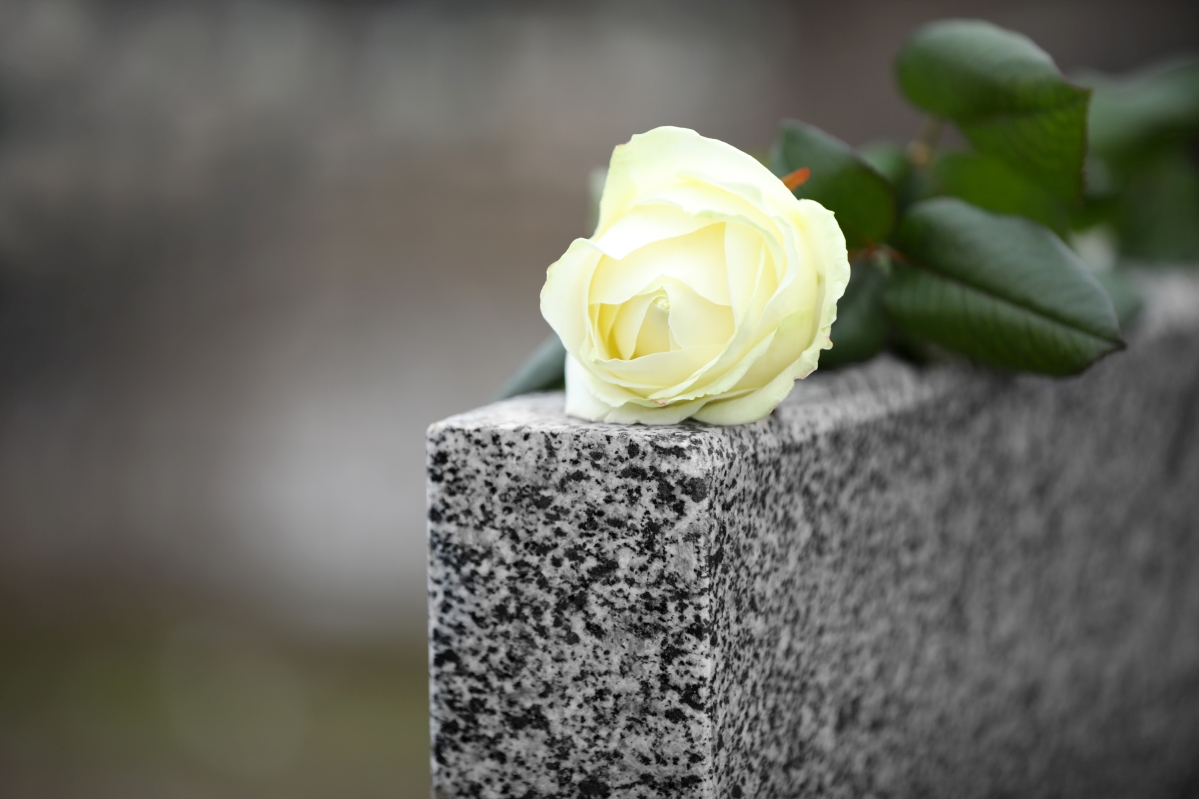 Róża na nagrobku granitowym